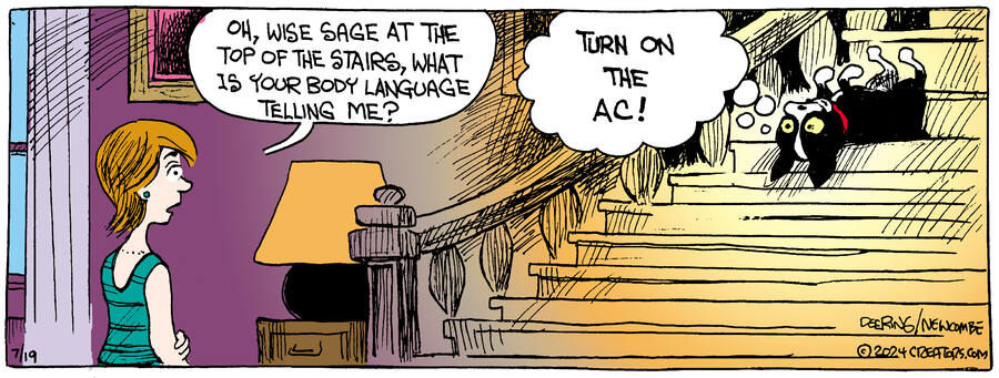 Zack Hill for Jul 19, 2024