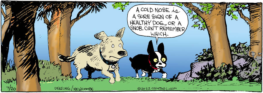 Zack Hill for Jul 20, 2022