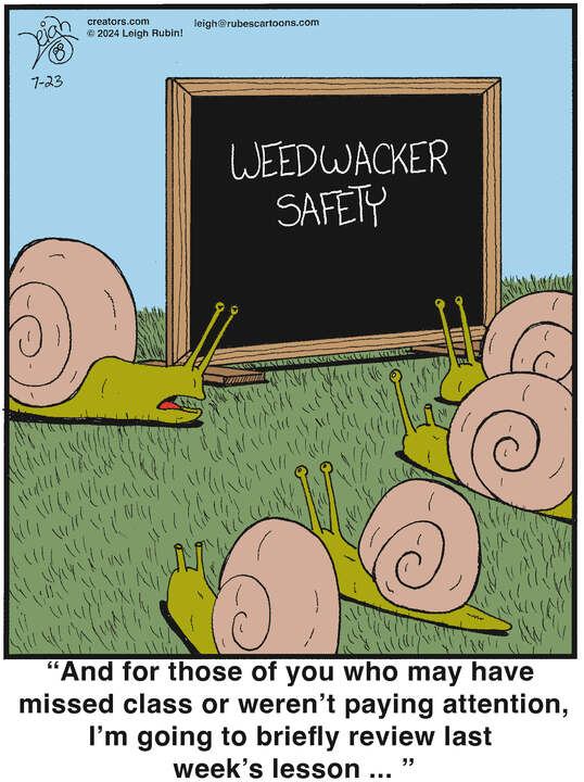 Rubes® for Jul 23, 2024