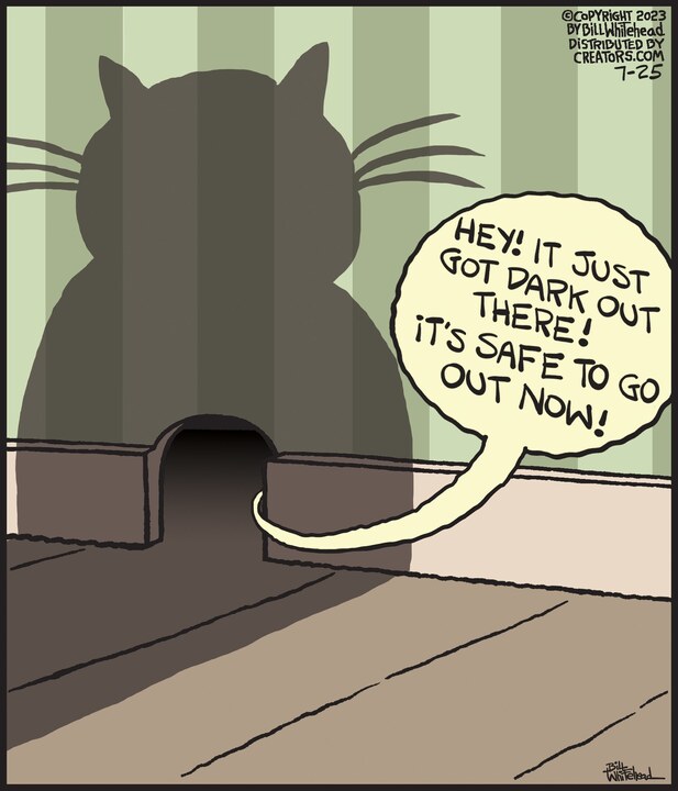 Free Range for Jul 25, 2023