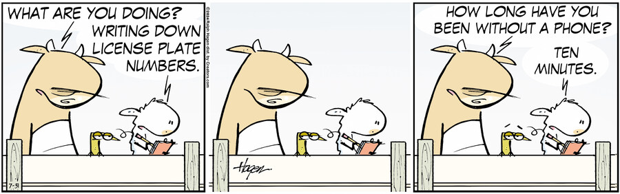 The Barn for Jul 31, 2024