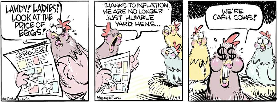 Shrimp and Grits for Aug 08, 2022