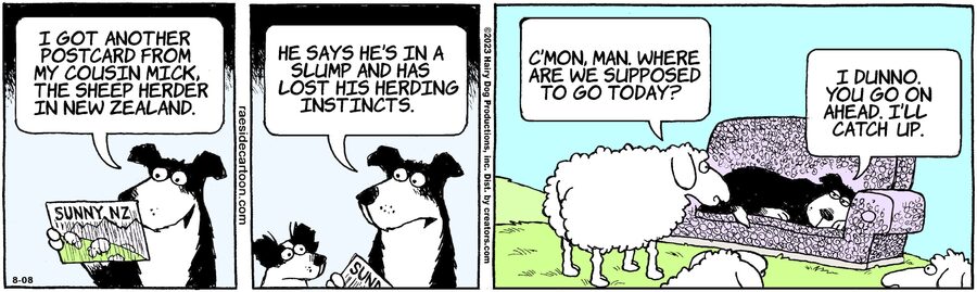 The Other Coast for Aug 08, 2023