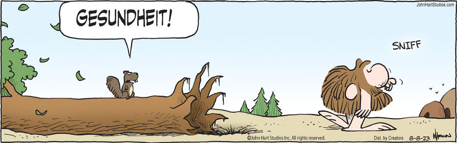 B.C. for Aug 08, 2023