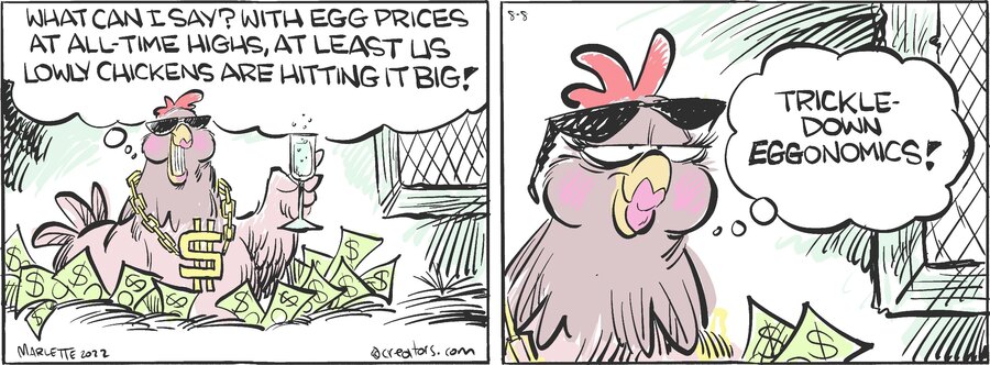 Shrimp and Grits for Aug 08, 2024