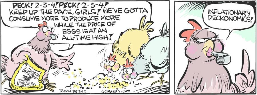 Shrimp and Grits for Aug 09, 2022