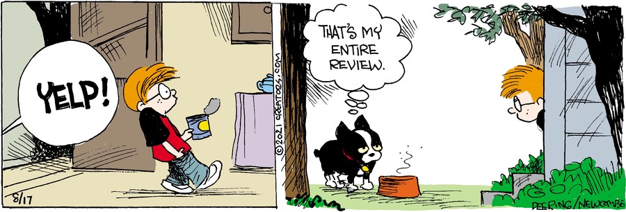 Zack Hill for Aug 17, 2021