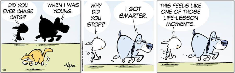 The Barn for Aug 19, 2023