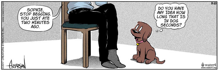 Dog Eat Doug for Aug 20, 2022