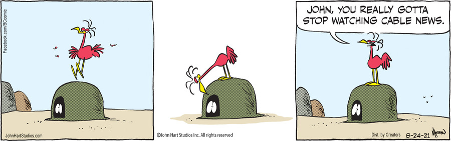 B.C. for Aug 24, 2021