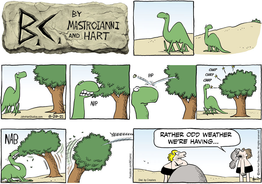 B.C. for Aug 29, 2021