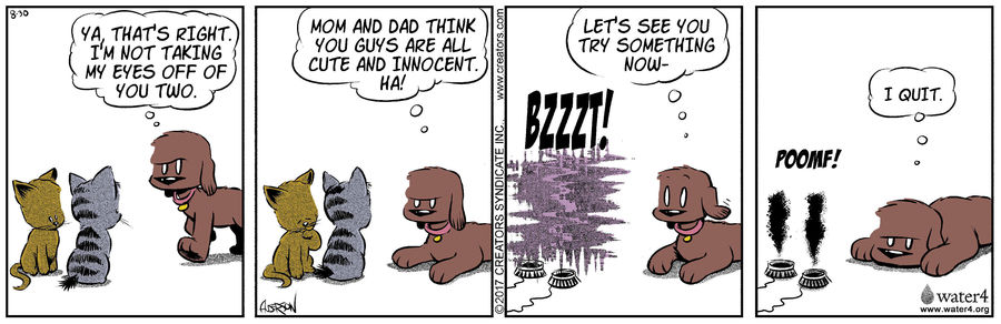 Dog Eat Doug for Aug 30, 2022