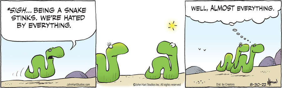 B.C. for Aug 30, 2022