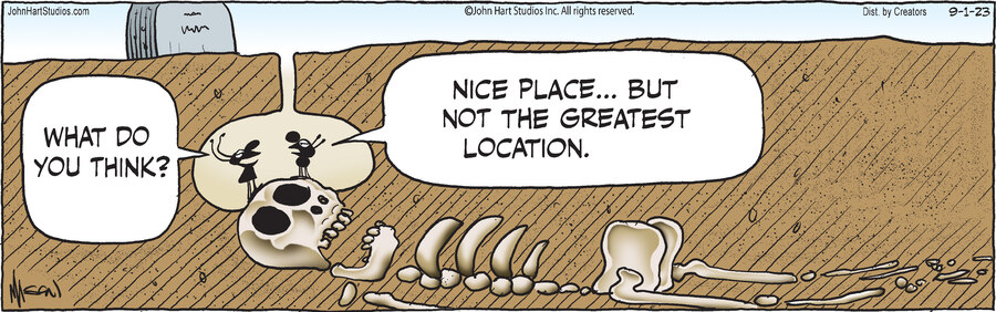 B.C. for Sep 01, 2023