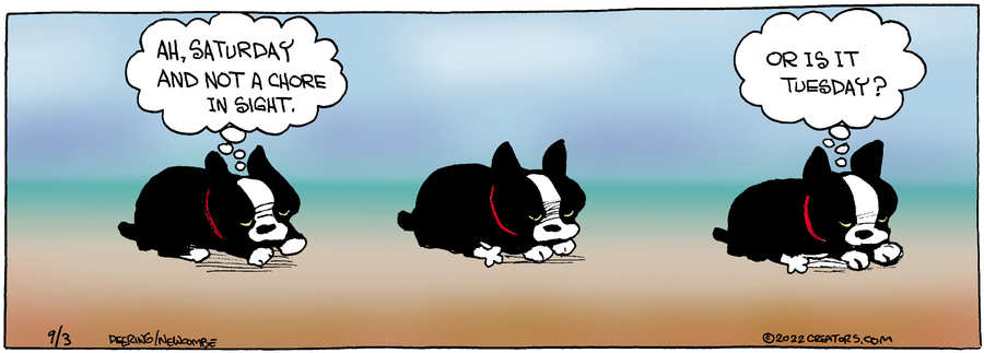 Zack Hill for Sep 03, 2022