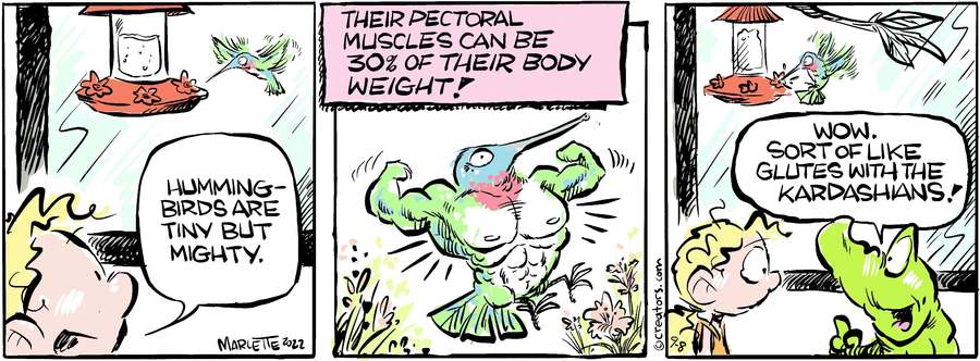 Shrimp and Grits for Sep 08, 2022