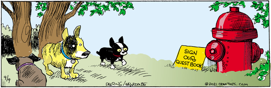 Zack Hill for Sep 09, 2021