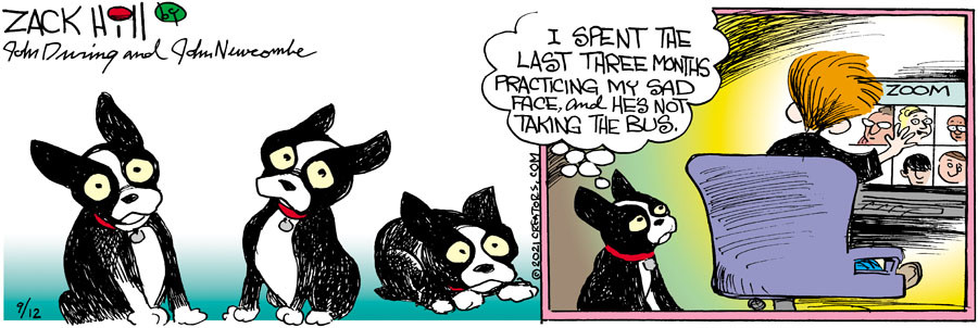 Zack Hill for Sep 12, 2021