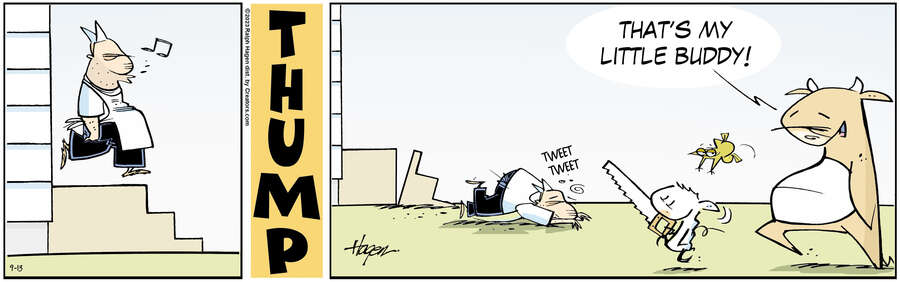 The Barn for Sep 13, 2023