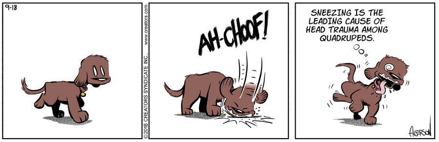 Dog Eat Doug for Sep 18, 2021