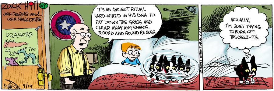 Zack Hill for Sep 19, 2021