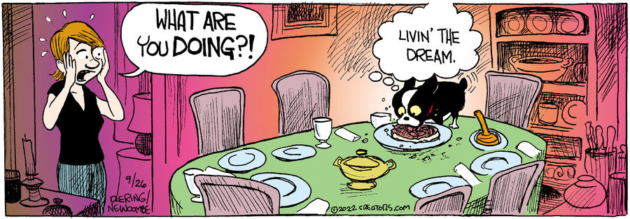 Zack Hill for Sep 26, 2022