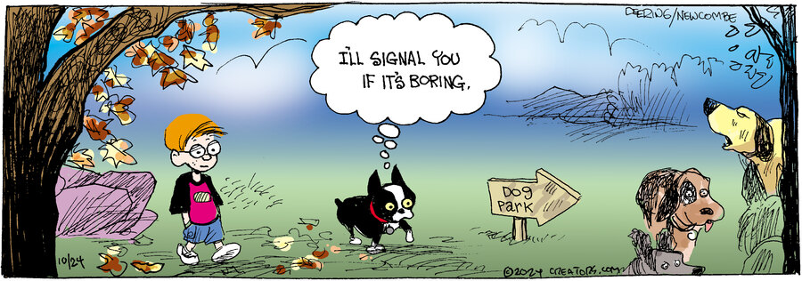 Zack Hill for Oct 24, 2024