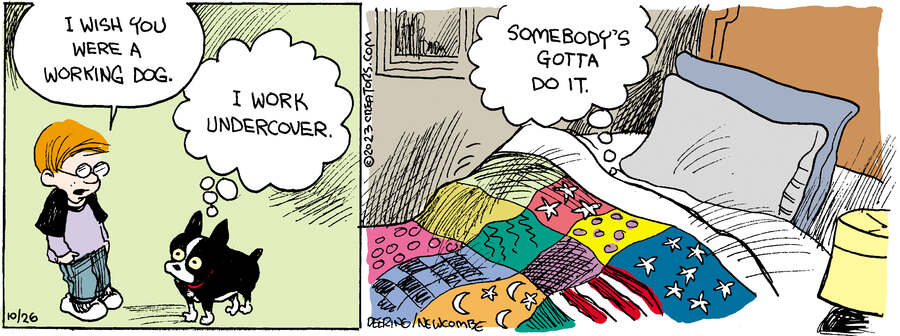 Zack Hill for Oct 26, 2023