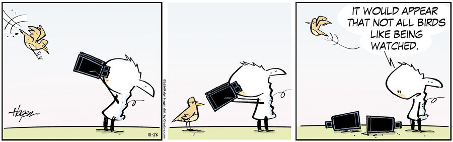 The Barn for Oct 28, 2024