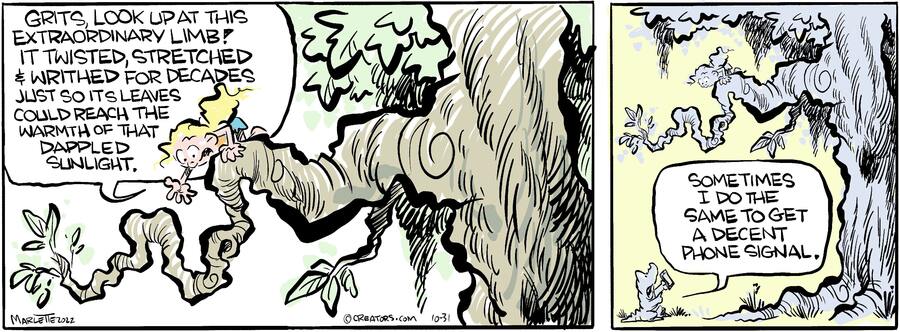 Shrimp and Grits for Oct 31, 2024