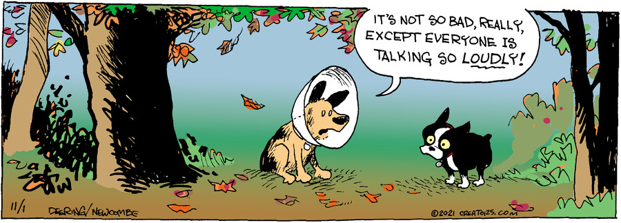 Zack Hill for Nov 01, 2021