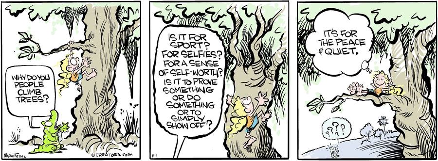 Shrimp and Grits for Nov 01, 2022