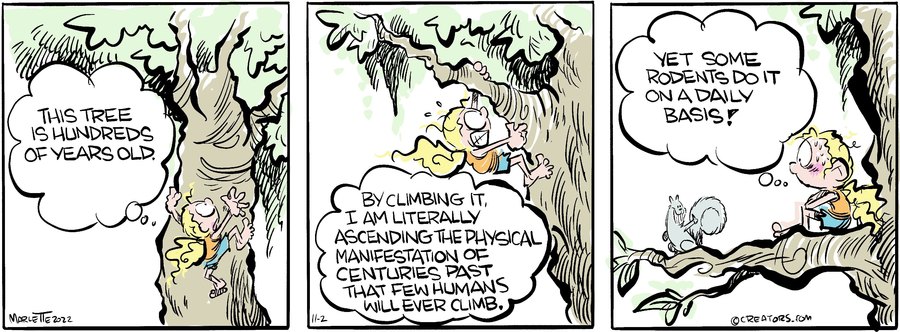 Shrimp and Grits for Nov 02, 2022