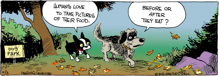 Zack Hill for Nov 03, 2021