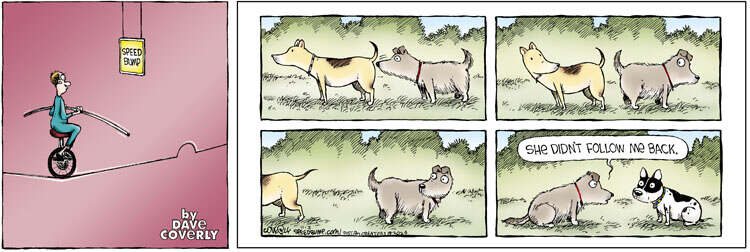 Speed Bump for Nov 03, 2024