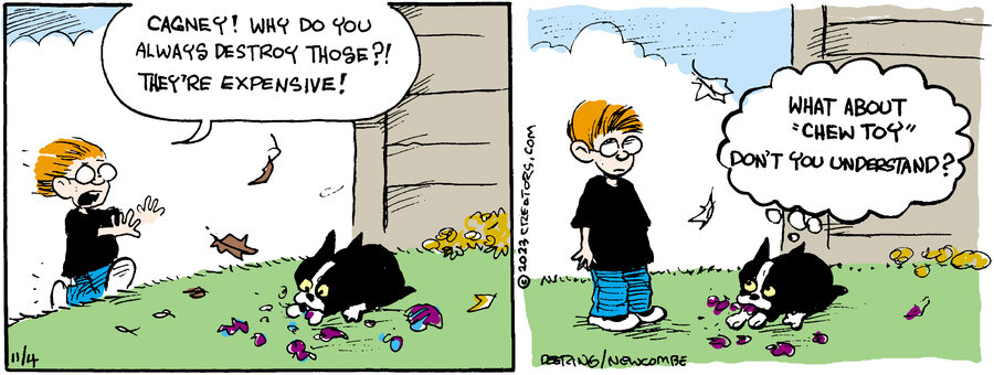 Zack Hill for Nov 04, 2023