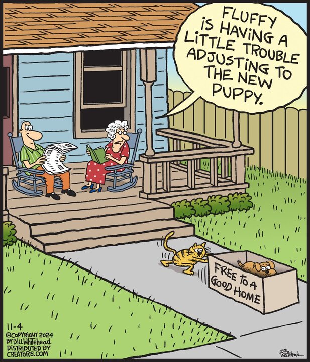 Free Range for Nov 04, 2024