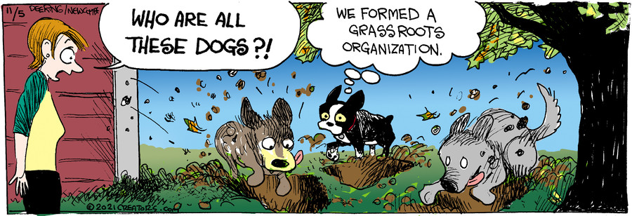 Zack Hill for Nov 05, 2021