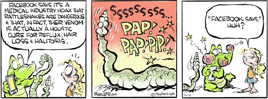 Shrimp and Grits for Nov 11, 2021