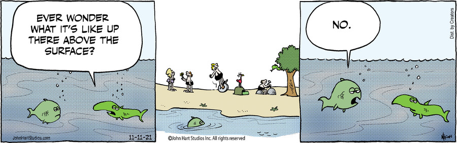 B.C. for Nov 11, 2021