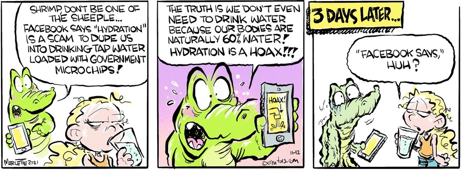 Shrimp and Grits for Nov 12, 2021