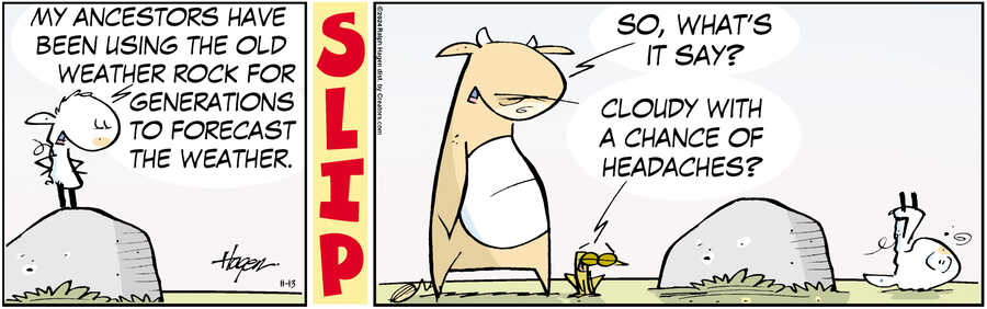 The Barn for Nov 13, 2024