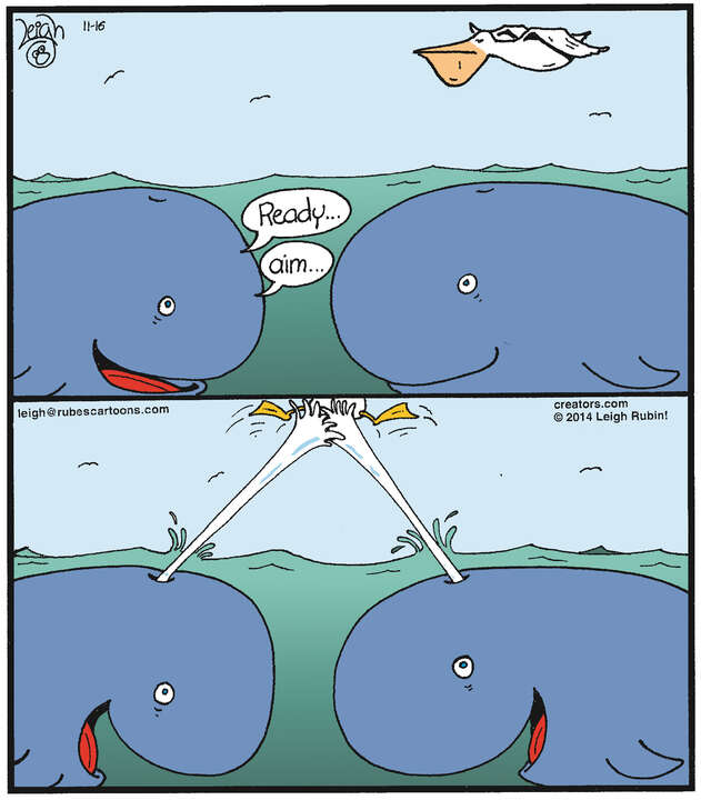 Rubes® for Nov 16, 2024