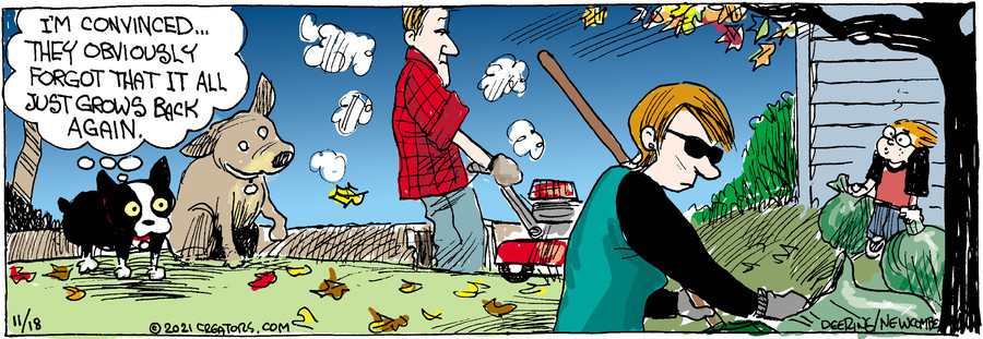 Zack Hill for Nov 18, 2021