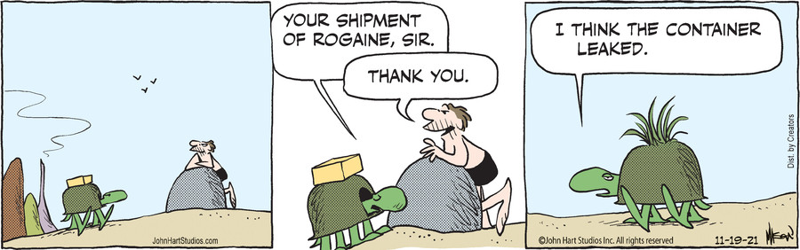 B.C. for Nov 19, 2021