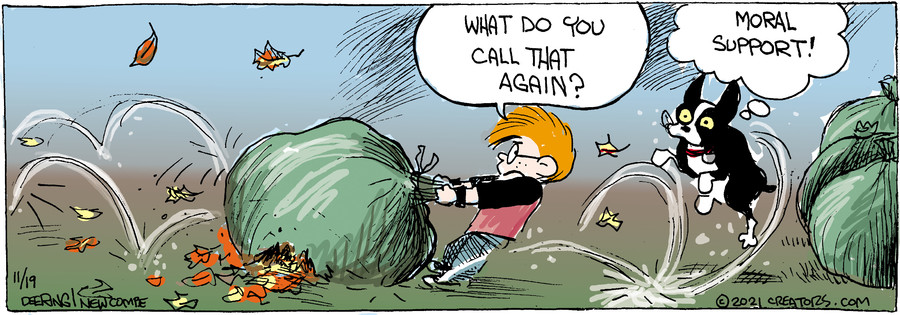 Zack Hill for Nov 19, 2021