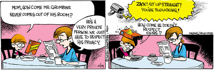 Zack Hill for Nov 19, 2024