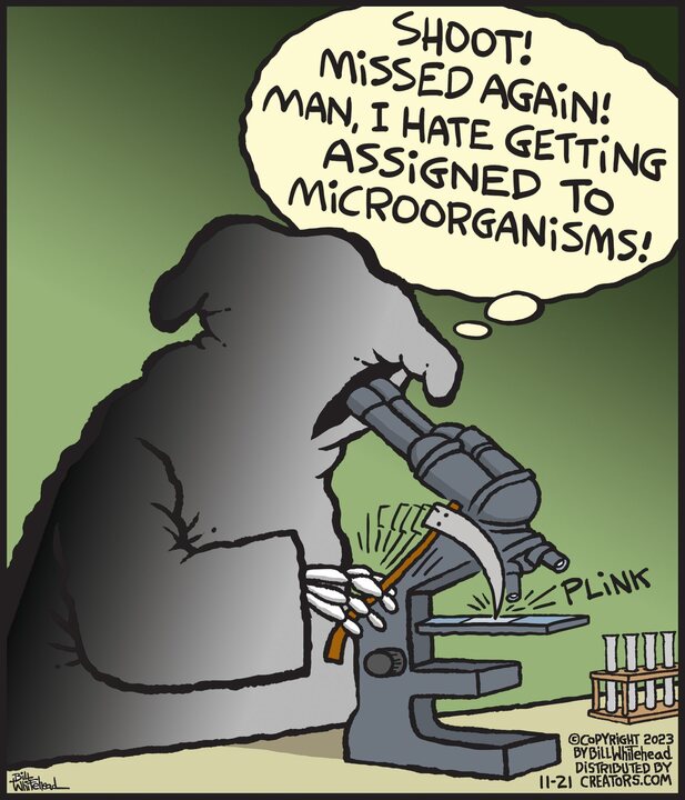 Free Range for Nov 21, 2023