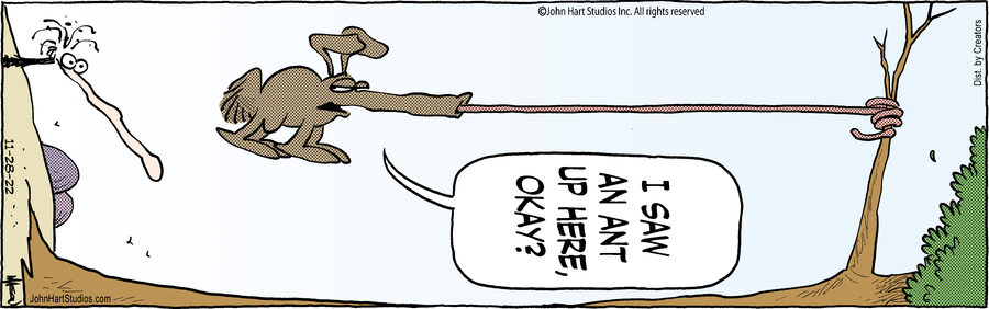 B.C. for Nov 28, 2022