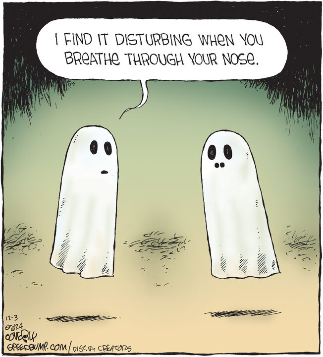 Speed Bump for Dec 03, 2024